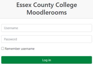 The University of Essex. . Essex county moodle